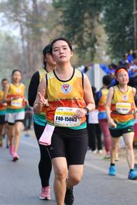 BIB: 15065
                            <button type="button" onclick="openModal(10414193)" class="btn btn-primary btn-sm float-right btn-popup" data-toggle="modal" data-target=".modal-high-quality">
                        <i class="fas fa-shopping-cart"></i> Add to Cart
                    </button>
                                            <button type="button" onclick="isThisMe(10414193, true)" class="btn btn-success btn-sm float-right btn-popup btn-isme hidden" data-toggle="tooltip" data-placement="bottom" title="นี่คือรูปของคุณใช่ไหม คลิกที่นี่เพื่อเอาเข้าอัลบั้ม">
                        <i class="fas fa-plus"></i> Add to album
                    </button>
                    <button type="button" onclick="isThisMe(10414193, false)" class="btn btn-warning btn-sm float-right btn-popup btn-isnotme hidden">
                        <i class="fas fa-ban"></i> Remove from album
                    </button>
